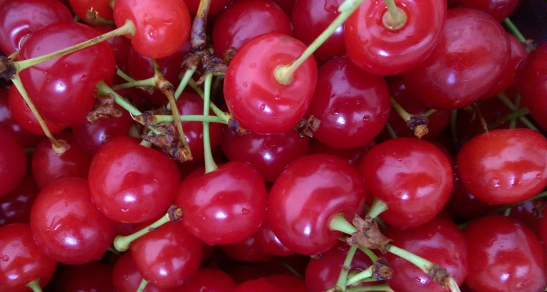 Sour cherries from Malta Ridge Orchard in Saratoga County, New York.